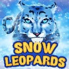 Snow Leopards game icon